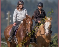 2AUTIGNY-0269