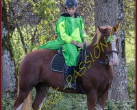 4AUTIGNY-0074