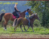 1CHENENS-0495