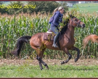 3CHENENS-0116
