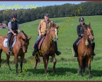 3CHENENS-0146