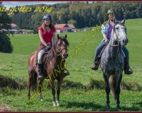 3CHENENS-0280