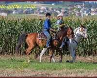 4CHENENS-0243