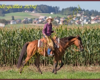 4CHENENS-0247