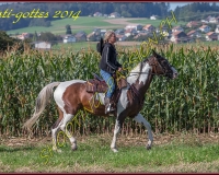 4CHENENS-0415
