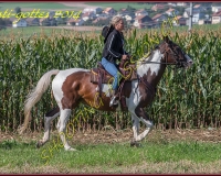 4CHENENS-0417
