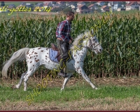 4CHENENS-0423
