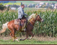 4CHENENS-0439