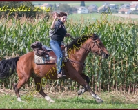 4CHENENS-0472