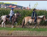 4CHENENS-0528