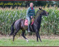 4CHENENS-0538