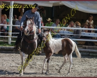 3CHENENS-0292