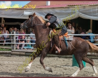 3CHENENS-0444