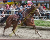 5CHENENS-0502