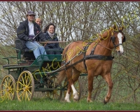 2LUSSY603