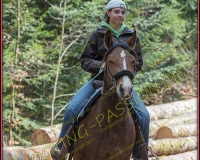 6LUSSY073