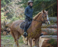 7LUSSY067