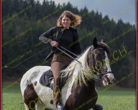 8LUSSY077