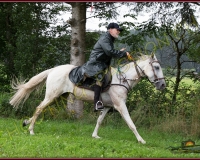 2NERIGUE175