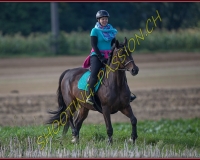 1SALAVAUX169
