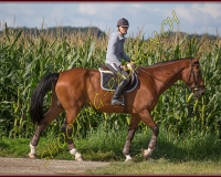 1SALAVAUX275