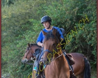 3SALAVAUX096