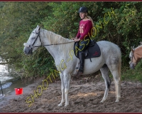 3SALAVAUX281