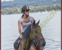 6SALAVAUX230