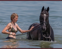 E6T0120