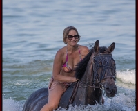 E6T0483