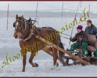 1ETIVAZ136