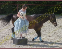 1-14juin333