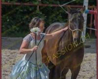 1-14juin346