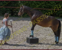 1-14juin352