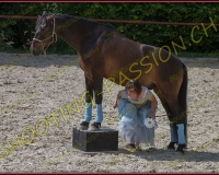 1-14juin357