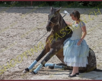 1-14juin394