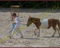 1-14juin432