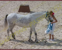 1-14juin451