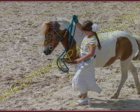 1-14juin462