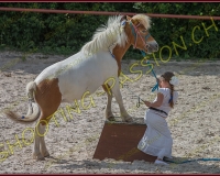 1-14juin477