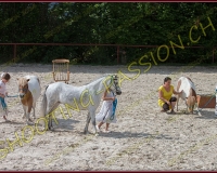 1-14juin496