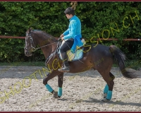 1-14juin504