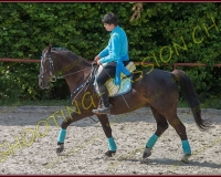 1-14juin505