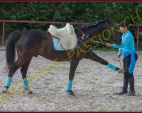 1-14juin552