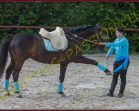 1-14juin554