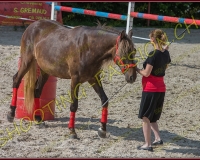 1-14juin583