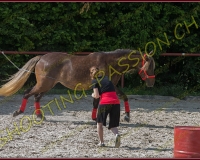 1-14juin599