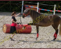 1-14juin628