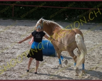 2-14juin006