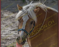 2-14juin008